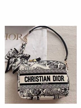 NEW Dior Canvas Plan De Paris Canvas Cosmetic Pouch Crossbody Bag